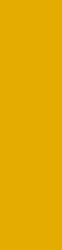 banner 200x800